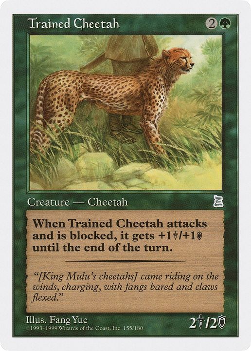 Trained Cheetah in the group Magic the Gathering / Sets / Portal Three Kingdoms at Proxyprinters.com (62577)