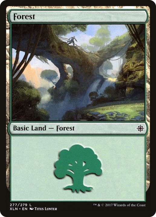 Forest in the group Magic the Gathering / Sets / Ixalan at Proxyprinters.com (62700)