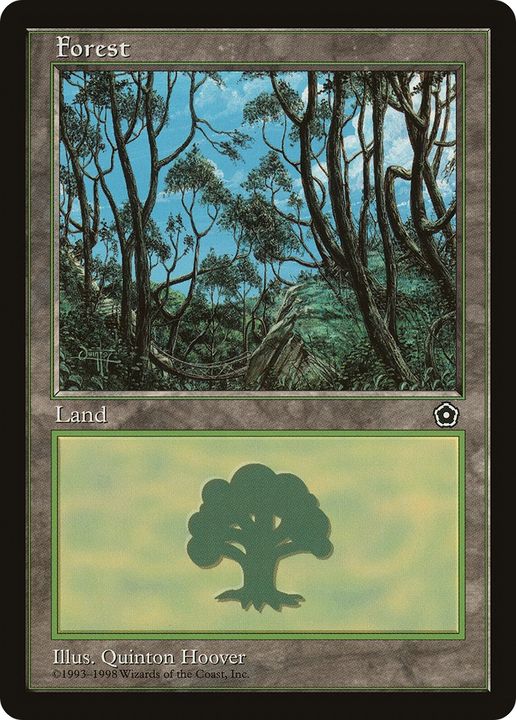 Forest in the group Magic the Gathering / Types / Land / Forest at Proxyprinters.com (62884)