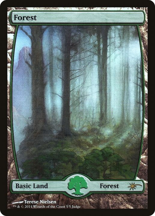 Forest in the group Magic the Gathering / Sets / Judge Gift Cards 2014 at Proxyprinters.com (62964)