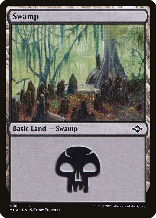 Swamp in the group Magic the Gathering / Types / Land / Swamp at Proxyprinters.com (63087)