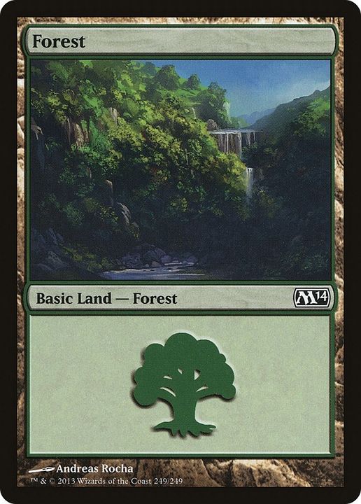 Forest in the group Magic the Gathering / Types / Land / Forest at Proxyprinters.com (6311)