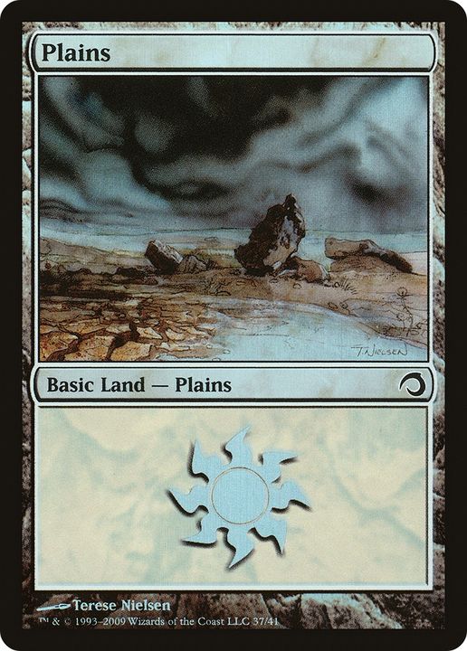 Plains in the group Magic the Gathering / Types / Land / Plains at Proxyprinters.com (63328)