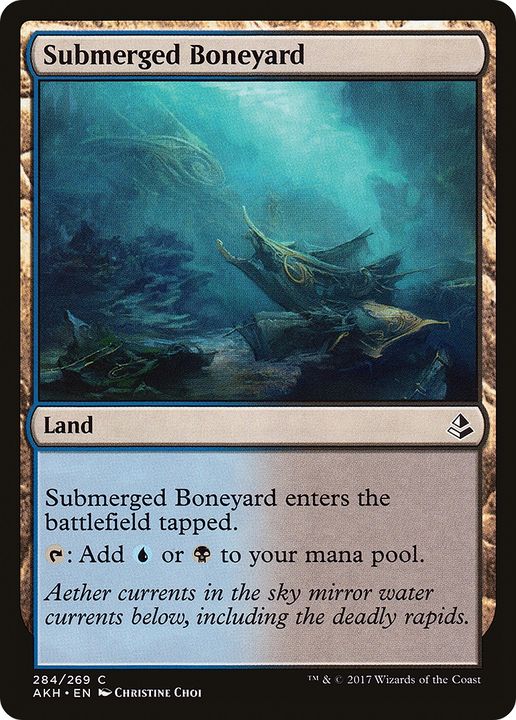 Submerged Boneyard in the group Magic the Gathering / Types / Colors / Colorless at Proxyprinters.com (63382)