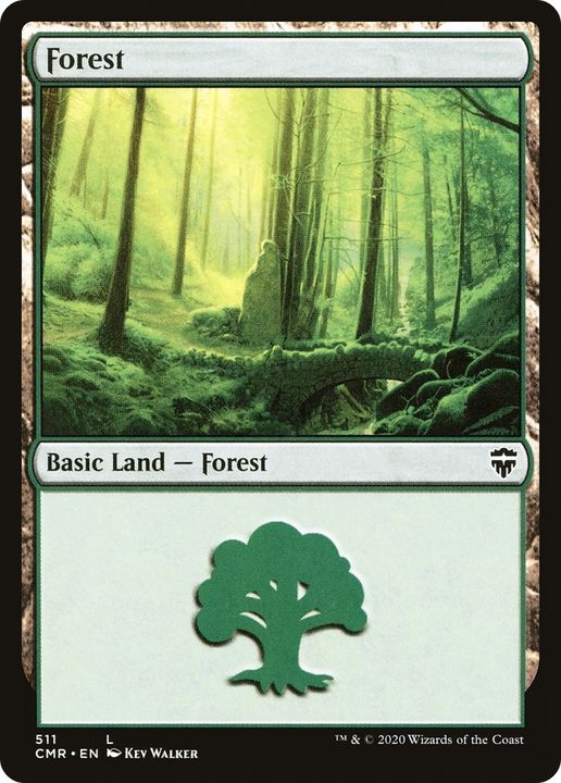 Forest in the group Magic the Gathering / Types / Land / Forest at Proxyprinters.com (63696)