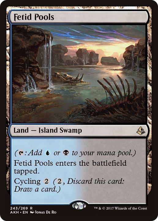 Fetid Pools in the group Magic the Gathering / Types / Land / Swamp at Proxyprinters.com (63769)