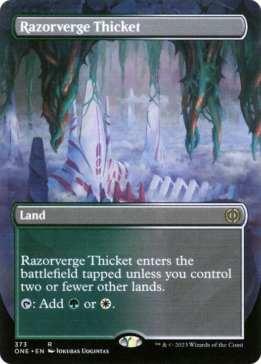 Razorverge Thicket in the group Magic the Gathering / Types / Colors / Colorless at Proxyprinters.com (63933)