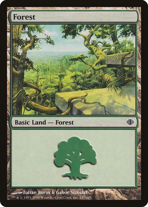 Forest in the group Magic the Gathering / Types / Land / Forest at Proxyprinters.com (64188)