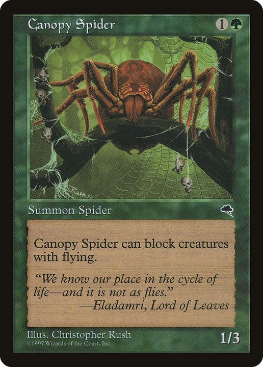 Canopy Spider in the group Magic the Gathering / Types / Colors / Green at Proxyprinters.com (64260)