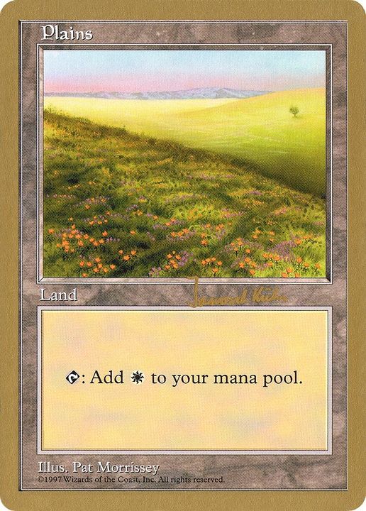 Plains in the group Magic the Gathering / Types / Land / Plains at Proxyprinters.com (6451)