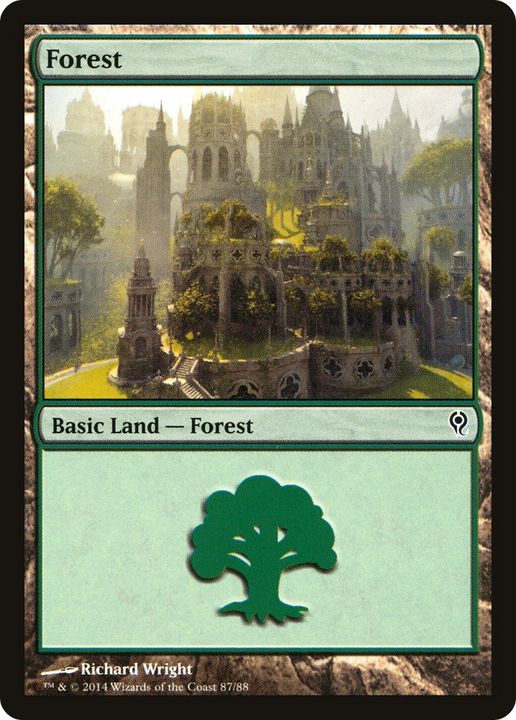 Forest in the group Singles at Proxyprinters.com (64633)