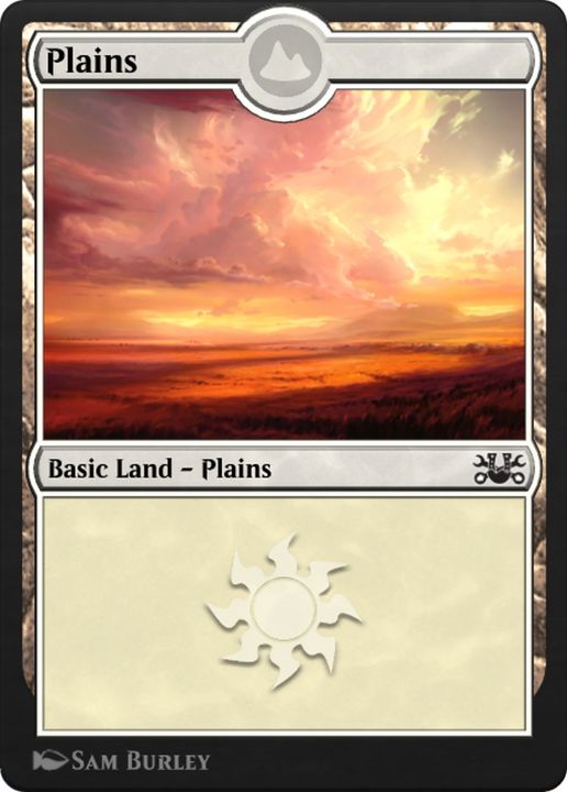 Plains in the group Magic the Gathering / Sets / Magic 2010 Tokens at Proxyprinters.com (64634)