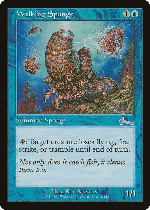 Walking Sponge in the group Magic the Gathering / Types / Colors / Blue at Proxyprinters.com (64797)