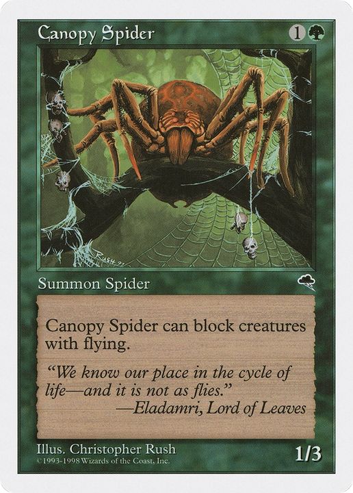 Canopy Spider in the group Magic the Gathering / Sets / Anthologies at Proxyprinters.com (65432)