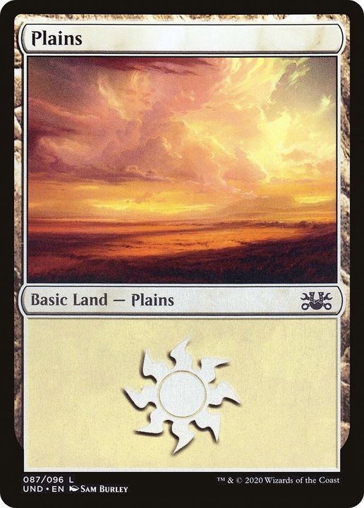 Plains in the group Magic the Gathering / Types / Land / Plains at Proxyprinters.com (6564)