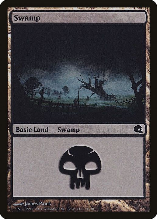 Swamp in the group Magic the Gathering / Types / Land / Swamp at Proxyprinters.com (6566)