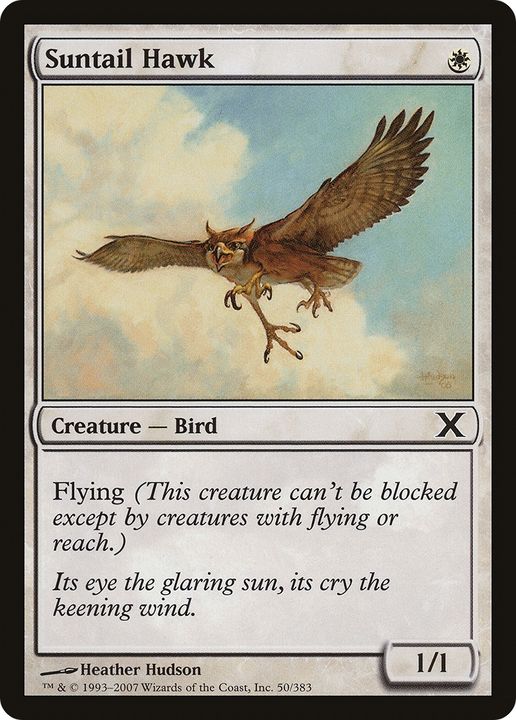 Suntail Hawk in the group Magic the Gathering / Types / Colors / White at Proxyprinters.com (66004)