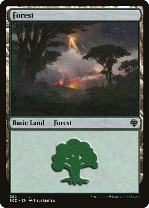 Forest in the group Singles at Proxyprinters.com (66028)