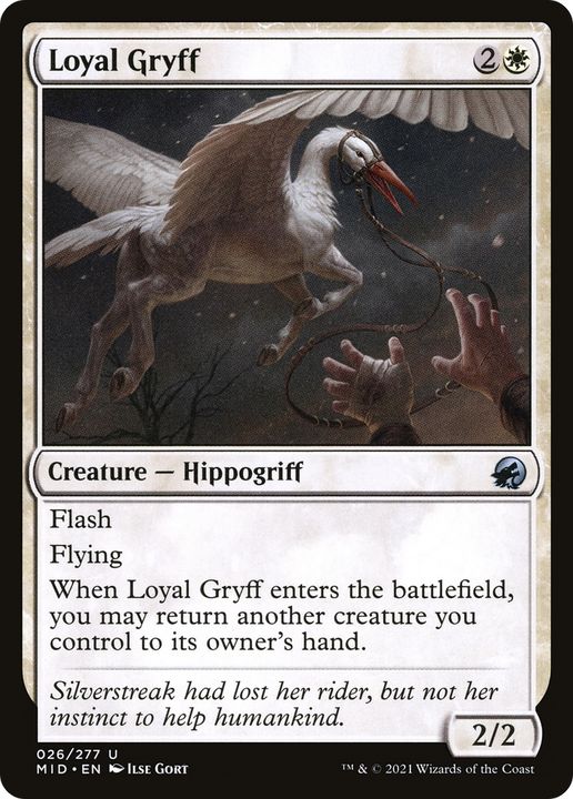 Loyal Gryff in the group Magic the Gathering / Types / Colors / White at Proxyprinters.com (66107)