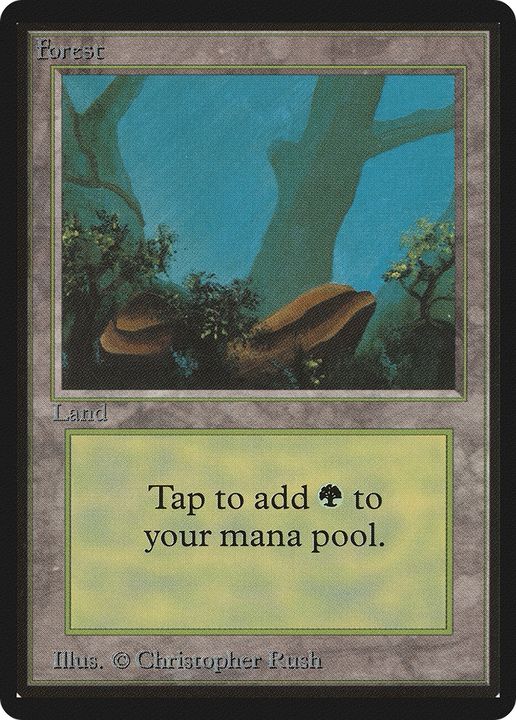 Forest in the group Magic the Gathering / Types / Land / Forest at Proxyprinters.com (66393)