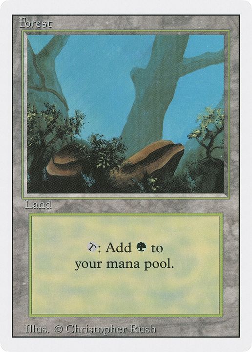 Forest in the group Magic the Gathering / Types / Land / Forest at Proxyprinters.com (66842)