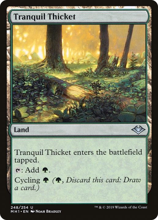 Tranquil Thicket in the group Magic the Gathering / Types / Colors / Colorless at Proxyprinters.com (66976)