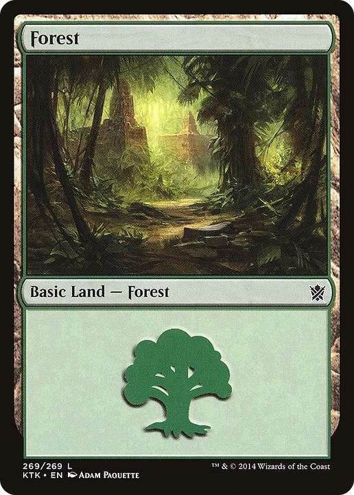 Forest in the group Magic the Gathering / Types / Land / Forest at Proxyprinters.com (66997)