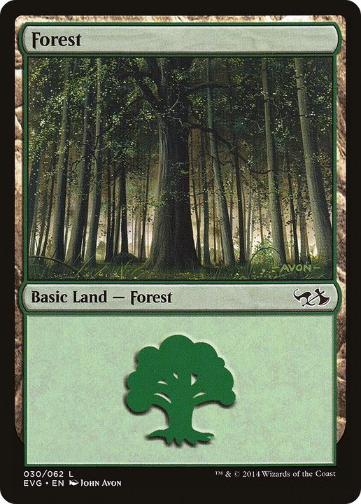 Forest in the group Magic the Gathering / Types / Land / Forest at Proxyprinters.com (6705)