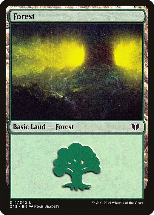 Forest in the group Magic the Gathering / Types / Land / Forest at Proxyprinters.com (6721)