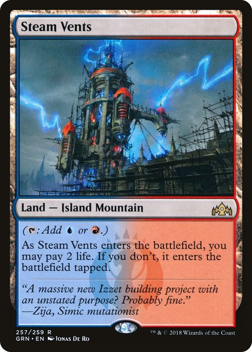 Steam Vents in the group Magic the Gathering / Types / Land / Mountain at Proxyprinters.com (67591)