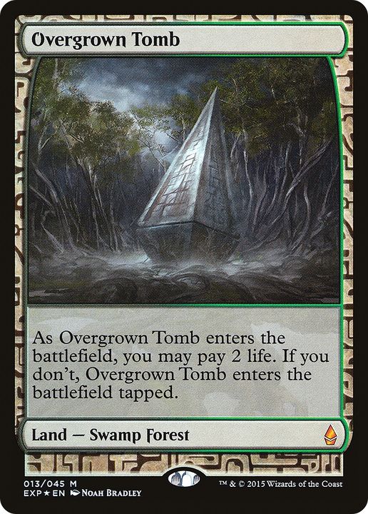 Overgrown Tomb in the group Magic the Gathering / Types / Land / Forest at Proxyprinters.com (67692)