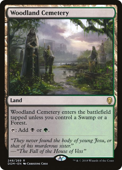 Woodland Cemetery in the group Magic the Gathering / Types / Colors / Colorless at Proxyprinters.com (67995)