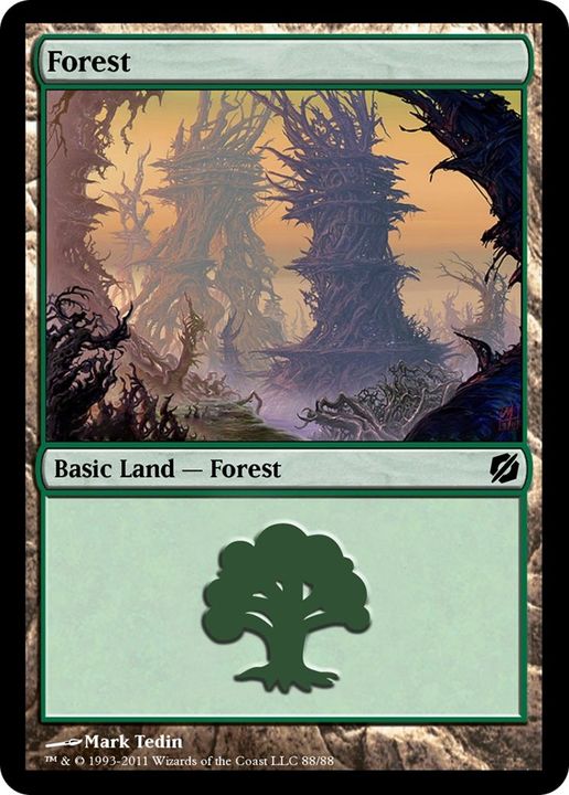 Forest in the group Magic the Gathering / Types / Land / Forest at Proxyprinters.com (6824)