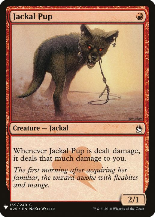 Jackal Pup in the group Advanced search at Proxyprinters.com (68381)