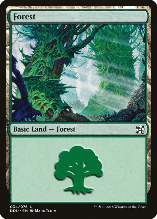 Forest in the group Magic the Gathering / Types / Land / Forest at Proxyprinters.com (68399)