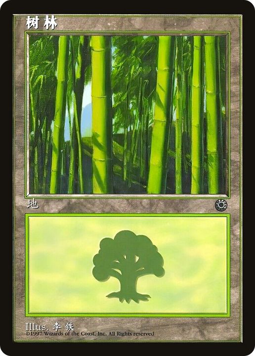 Forest in the group Magic the Gathering / Sets / Portal at Proxyprinters.com (68593)