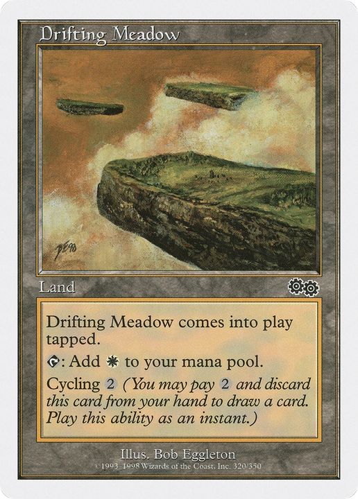 Drifting Meadow in the group Magic the Gathering / Types / Colors / Colorless at Proxyprinters.com (69234)