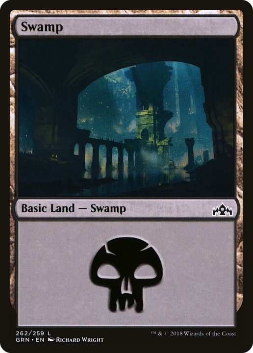 Swamp in the group Magic the Gathering / Types / Land / Swamp at Proxyprinters.com (69396)