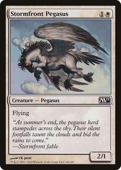 Stormfront Pegasus in the group Advanced search at Proxyprinters.com (70528)