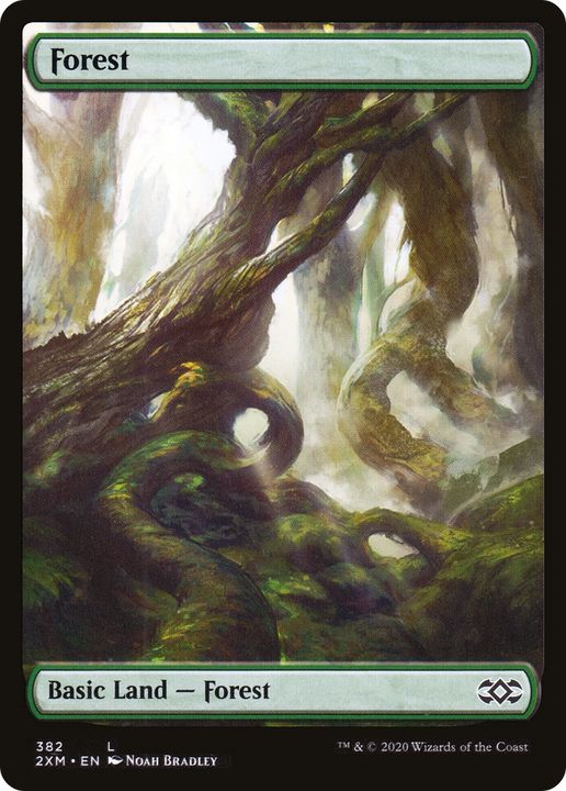 Forest in the group Magic the Gathering / Types / Land / Forest at Proxyprinters.com (70610)