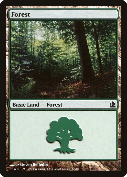 Forest in the group Magic the Gathering / Sets / Commander 2011 at Proxyprinters.com (70849)