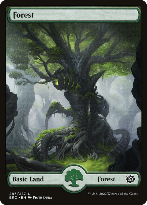 Forest in the group Magic the Gathering / Types / Land / Forest at Proxyprinters.com (70865)