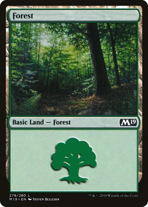 Forest in the group Magic the Gathering / Types / Land / Forest at Proxyprinters.com (70905)