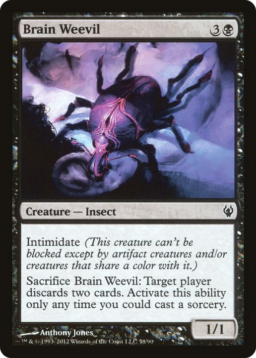 Brain Weevil in the group Magic the Gathering / Sets / Duel Decks: Izzet vs. Golgari at Proxyprinters.com (71054)