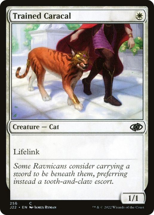 Trained Caracal in the group Magic the Gathering / Sets / Jumpstart 2022 at Proxyprinters.com (71140)