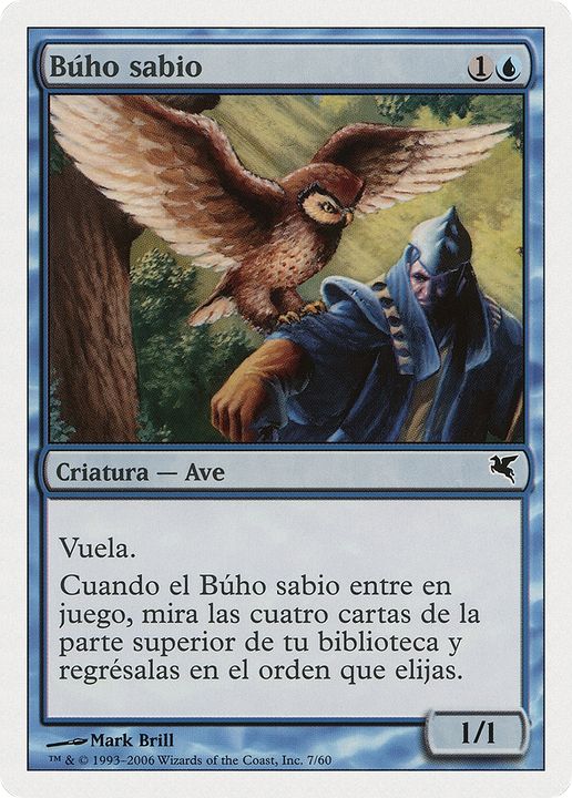 Sage Owl in the group Magic the Gathering / Types / Colors / Blue at Proxyprinters.com (71510)