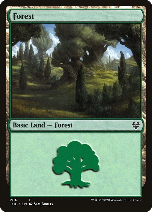 Forest in the group Singles at Proxyprinters.com (71920)