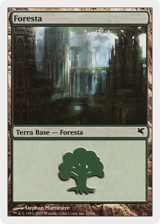 Forest in the group Magic the Gathering / Types / Land / Forest at Proxyprinters.com (72248)