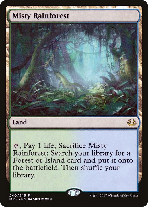 Misty Rainforest in the group Singles at Proxyprinters.com (72298)