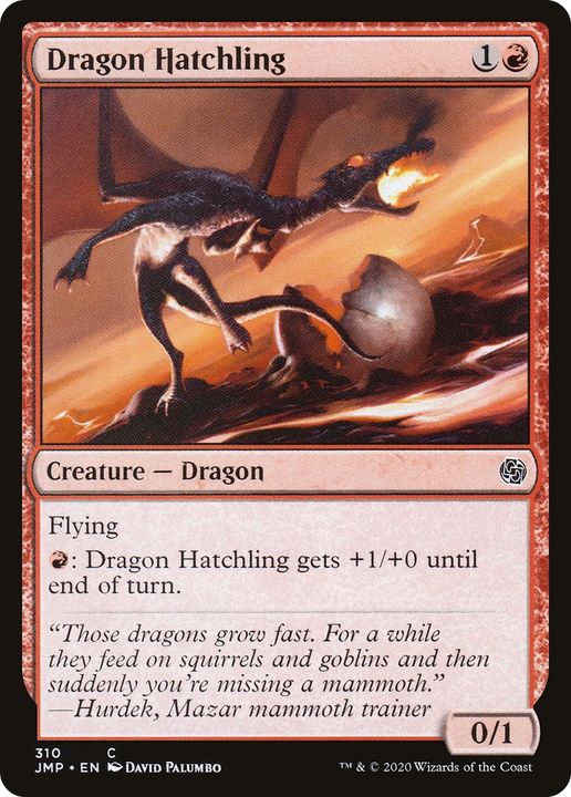 Dragon Hatchling in the group Magic the Gathering / Types / Colors / Red at Proxyprinters.com (72305)